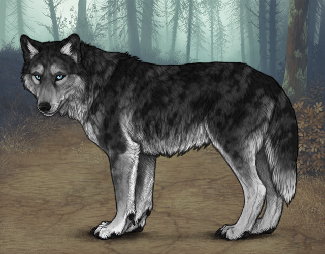 File:Prereleaseteaser morningmist.jpg