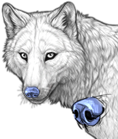 File:Nose chill preview.png