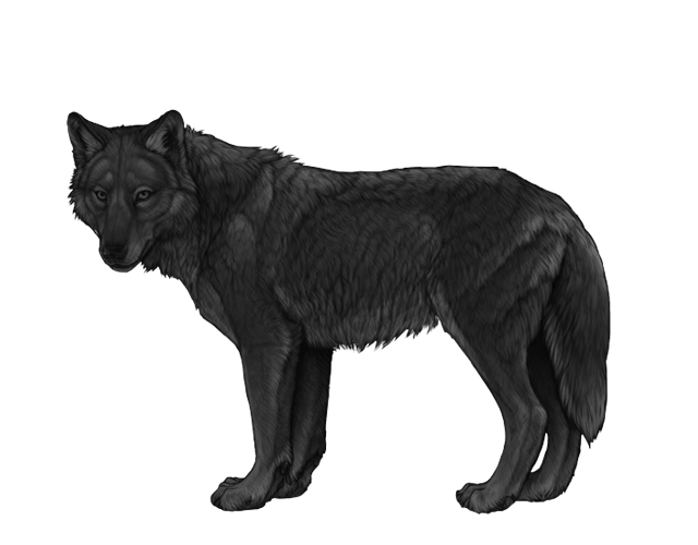 File:Base iridium preview.png