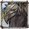 File:Shetlandponygrulla.png