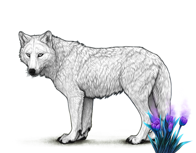 File:Lunartulips preview.png