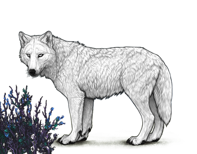 File:Drylunarshrub preview.png