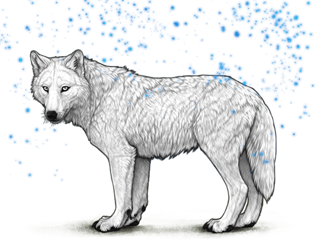 File:Lunardetritus preview.png