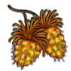 File:Crop salmonberry-yellow.png