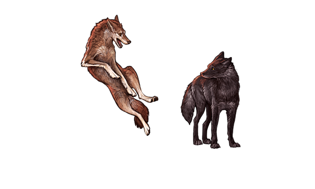 File:Showingoffwolfdusk.png