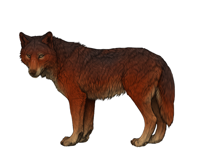 File:Base auburn preview.png