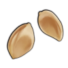 File:Seeds moonflower.png
