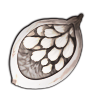 File:Seeds white-rose.png