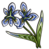 File:Crop giant-blue-iris-striped.png
