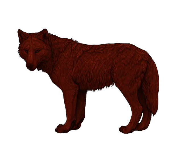 File:Base henna preview.png