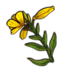 File:Eveningprimrose.png