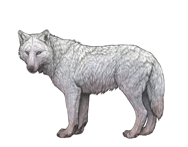 File:Base quartz preview.png