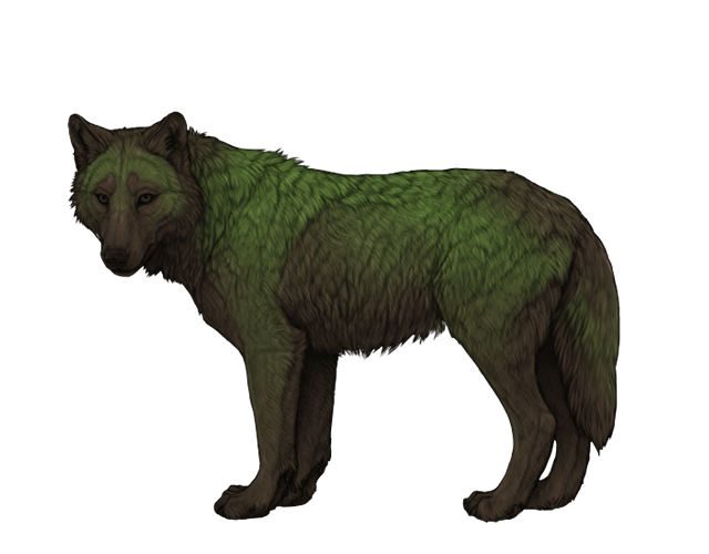 File:Base moss preview.png