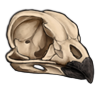 File:Skull owl.png