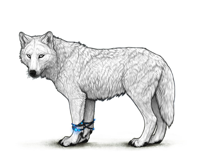 File:Lunarorbbracelets preview.png