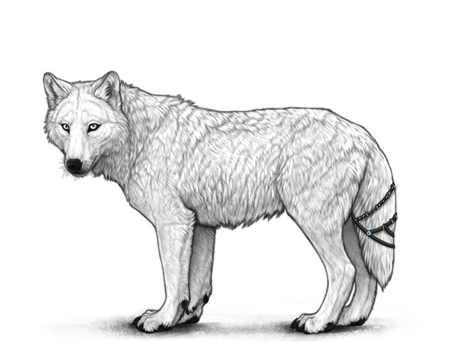 File:Sporebeadedtailwrap preview.png