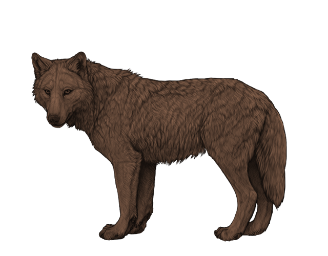 File:Base caramel preview.png