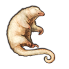 File:Silkyanteater.png