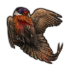 File:Pheasant.png