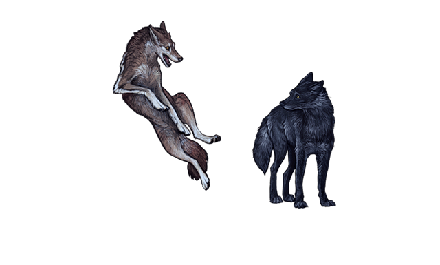 File:Showingoffwolfnight.png