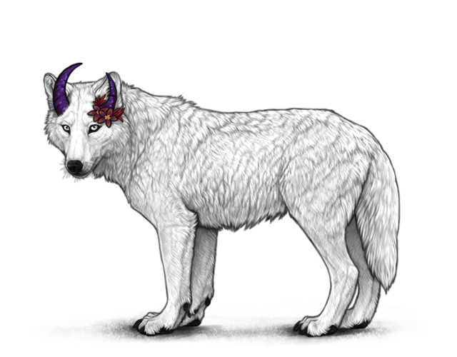 File:Unevencrescenthornspurple preview.png