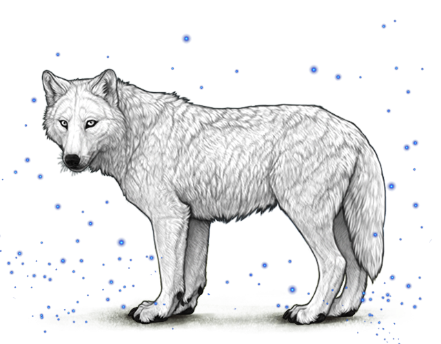 File:Windsweptsporesdust preview.png