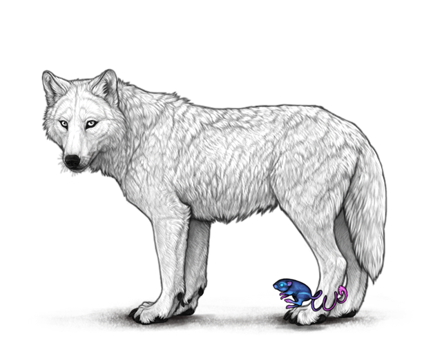 File:Selenickangaroorat preview.png