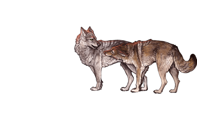 File:Flirtingwolvesdusk.png