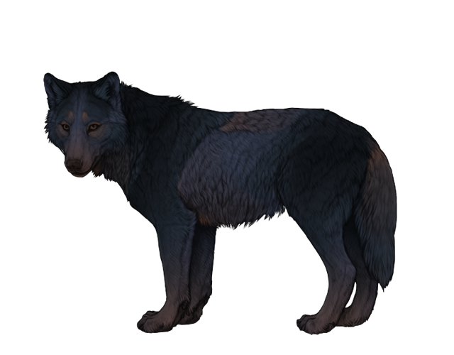 File:Base blueschist preview.png