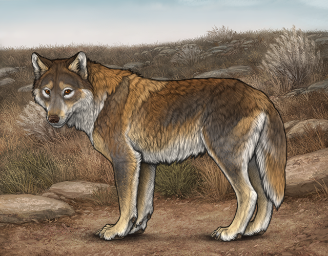 File:Rafflestud velimir.png