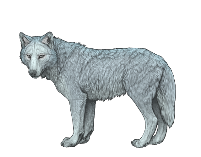 File:Base aquamarine preview.png