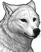 File:Black preview.png